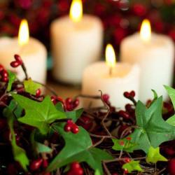 Les Noelies