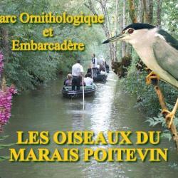 Les Oiseaux Du Marais Poitevin