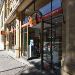 écouter Voir Optique