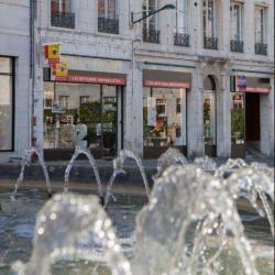 écouter Voir Optique