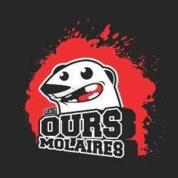 Les Ours Molaires