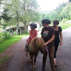 Les Paddocks