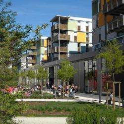 Les Patios D'or De Grenoble