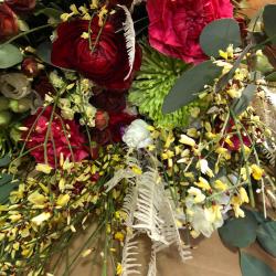 Les Petites Fleurs Modèles