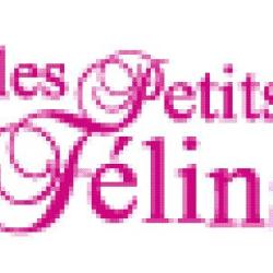 Les Petits Félins