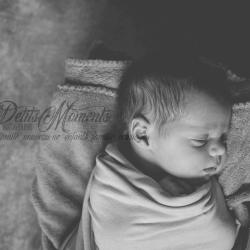 Les Petits Moments De Photographie