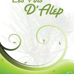 Les Pins D'alep