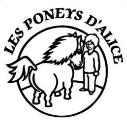 Les Poneys D Alice