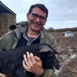 Les Porcs Noirs De La Planche