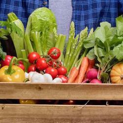 Les Producteurs D'un Monde Nouveau Et Solidaire