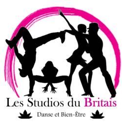 Les Studios Du Britais