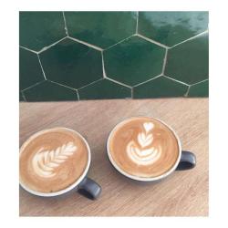 Les Succulentes Café Cactus
