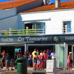 Les Tamarins
