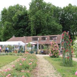 Les Terrasses De La Roseraie - Chez Jules