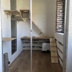 Les Terres D'azade Pension Chiens Et Chat