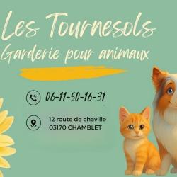 Les Tournesols