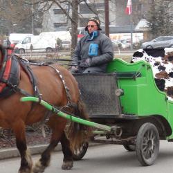 Les Traîneaux De Megève