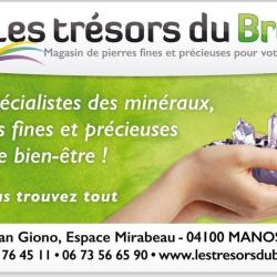 Les Tresors Du Bresil