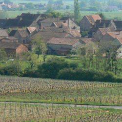 Les Vignes Derrière