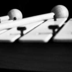 Les Z'ateliers D'eveil Musical