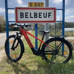 Lg Bike Store