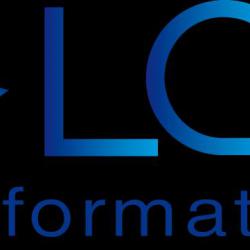 Lgf Informatique