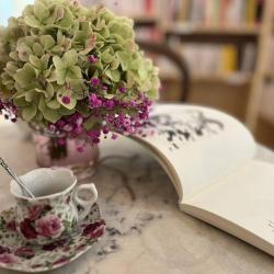 Librairie La Balancoire