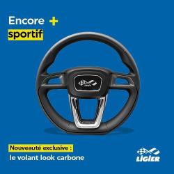 Ligier Groupe
