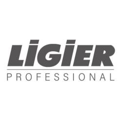 Ligier Groupe