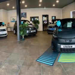 Brun Prestige Motors - Voitures Sans Permis Ligier