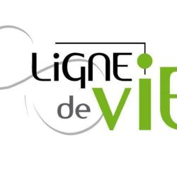 Ligne De Vie