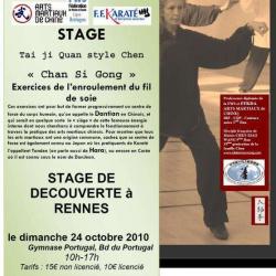 Ligue De Bretagne De Wushu