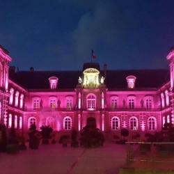 Ligue Nationale Contre Le Cancer Comité De La Somme
