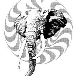 Like An Elephant