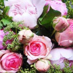 Lila's Flowers