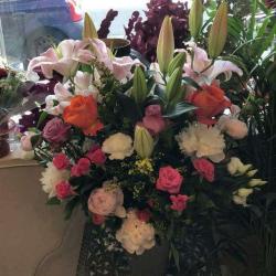 Lilas Fleurs