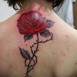 Lille Aux Tatouages