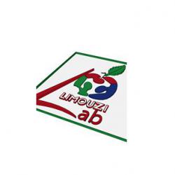 Limouzi Lab