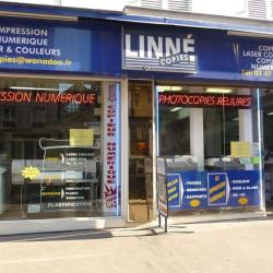 Linne Copie