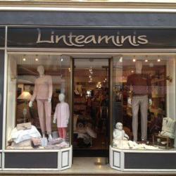 Linteaminis