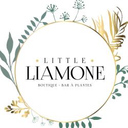 Little Liamone