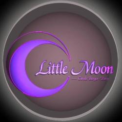 Little Moon