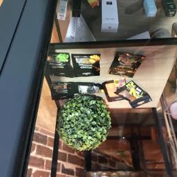 Little Shop Cbd