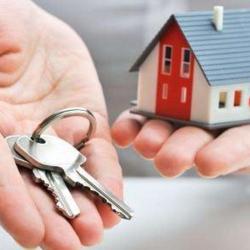 Lnc Immobilier