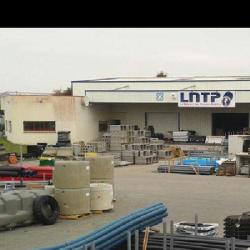 Lntp