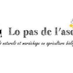 Lo Pas De L'ase