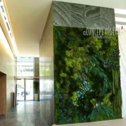Loc'plantes Concept Vegetal