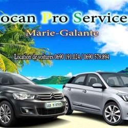Locan Pro Services