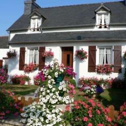 Le Grand Hortensia