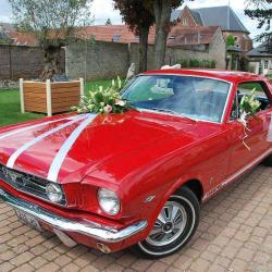 Locationfordmustang